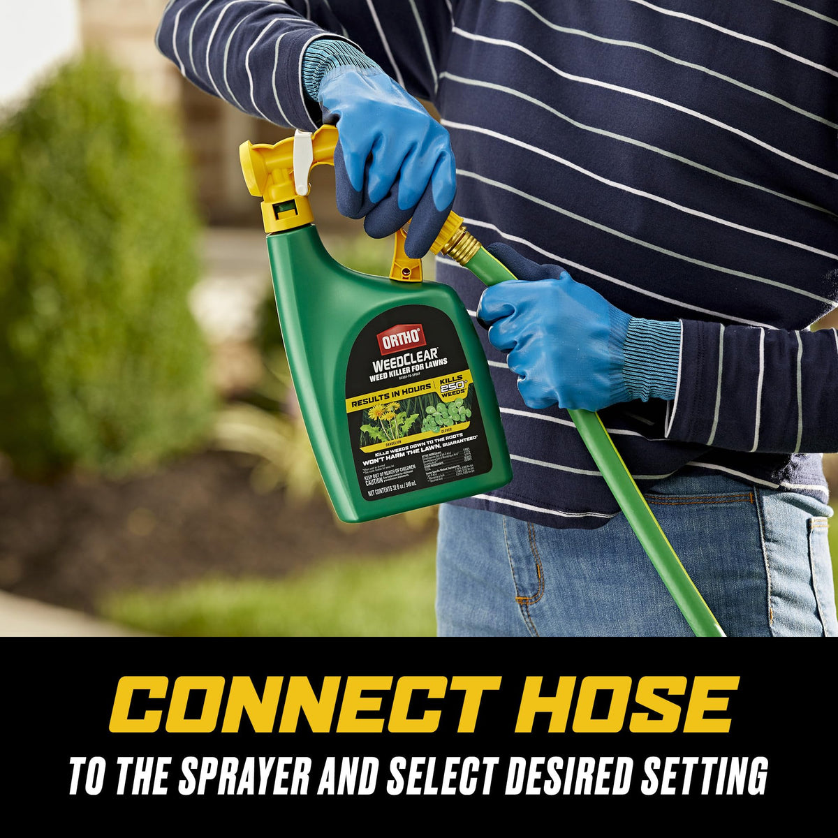 Ortho WeedClear coverage guide for Southern vs Northern lawns