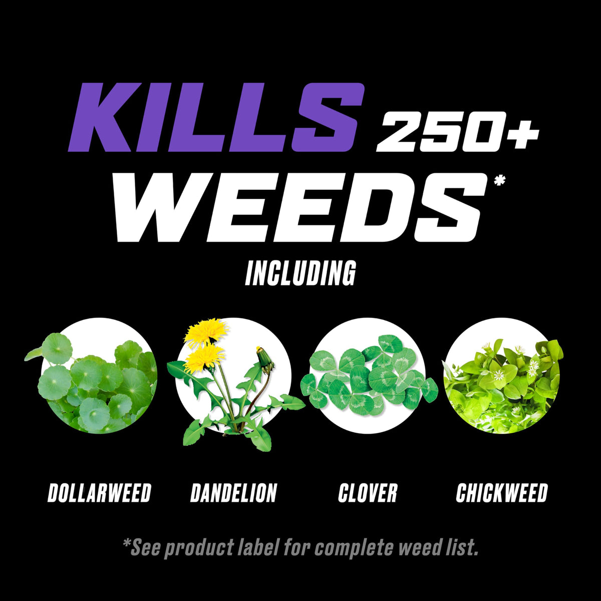 Ortho WeedClear targets dandelion weed for root-level control.