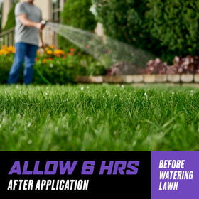 Treated lawn area drying after application with WeedClear.
