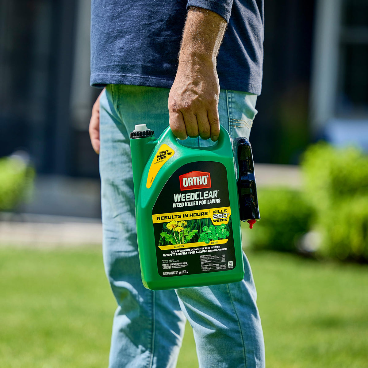 Ortho WeedClear kills dandelion and clover at the root.