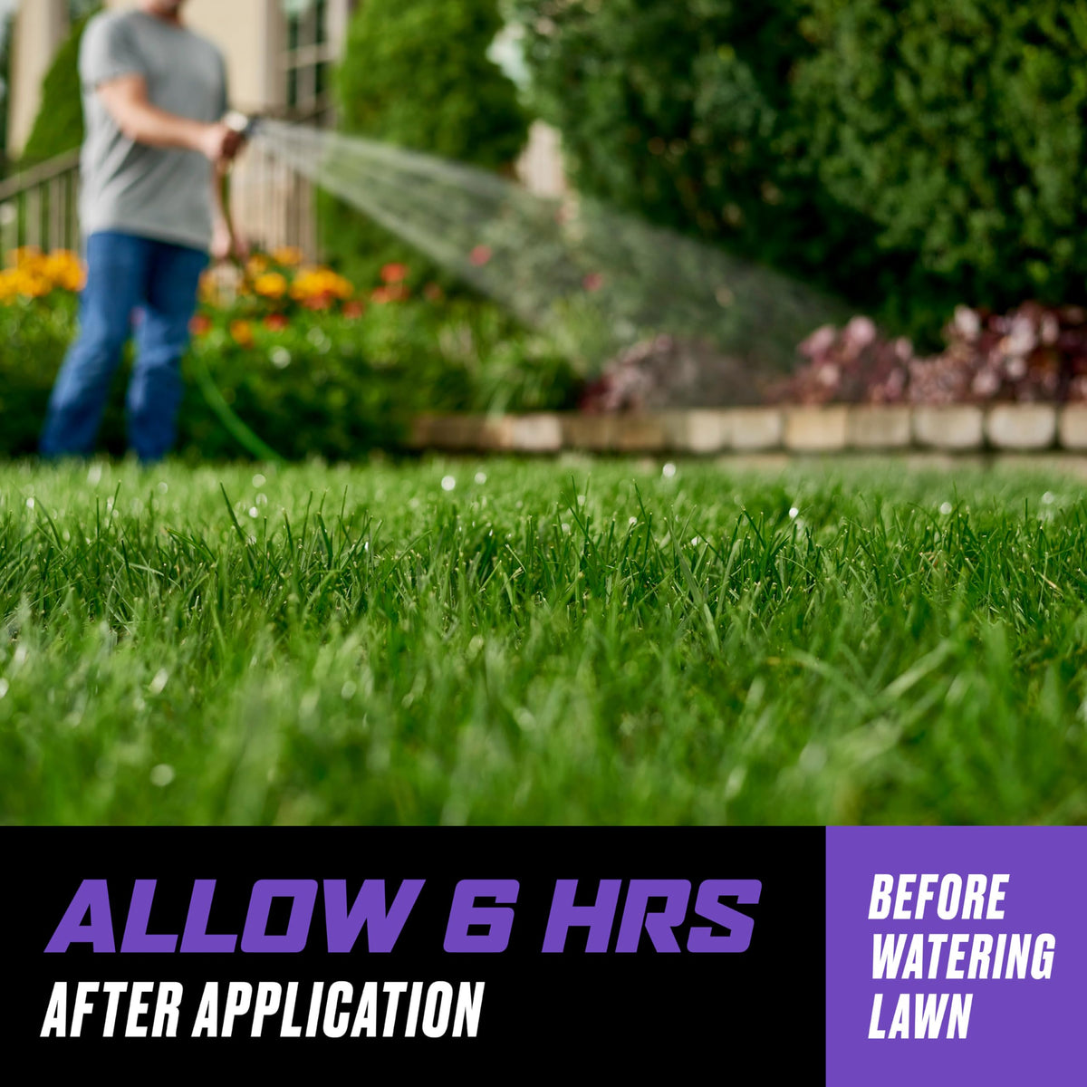 Ortho WeedClear being applied as a lawn spot-treatment on green grass.