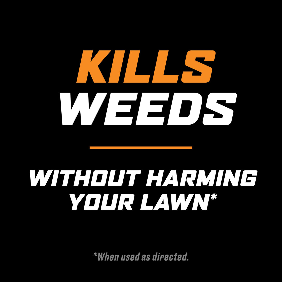Crabgrass, dandelion, and clover treated by Ortho WeedClear for lawn weed control.