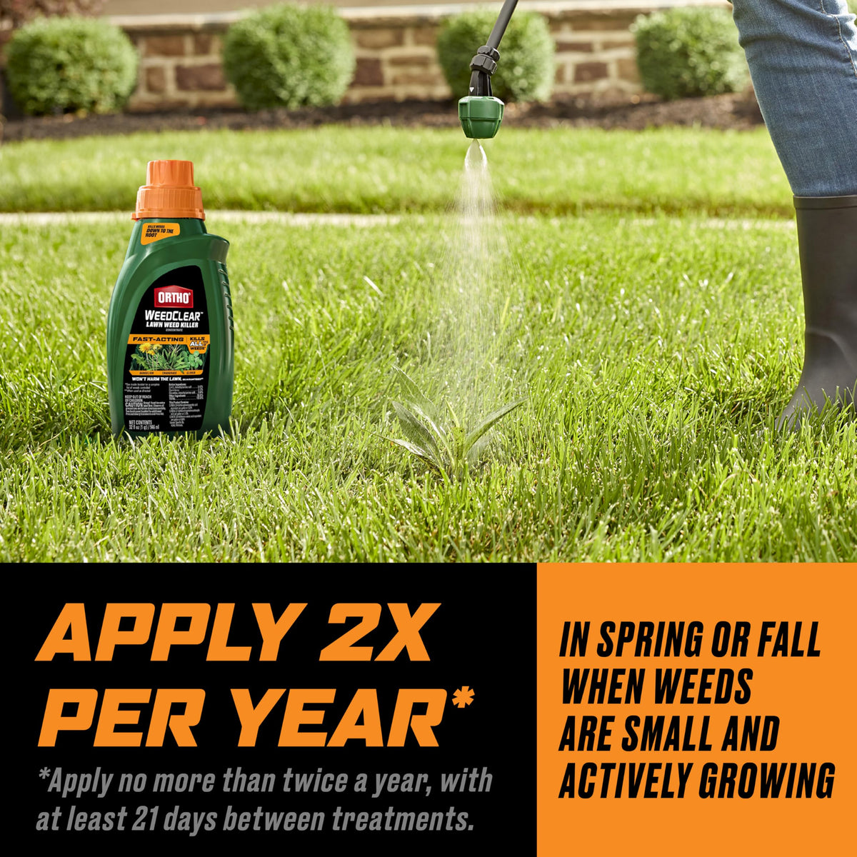 Ortho WeedClear results after one application in a treated lawn