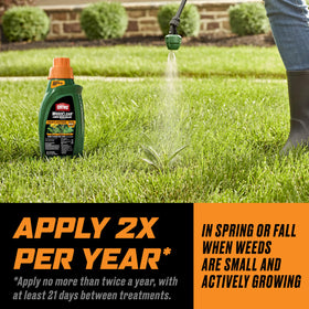 Ortho WeedClear results after one application in a treated lawn