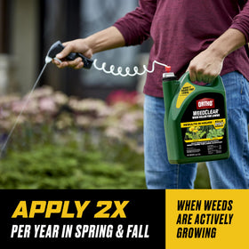 Rainproof formula when dry, ideal for busy yards.