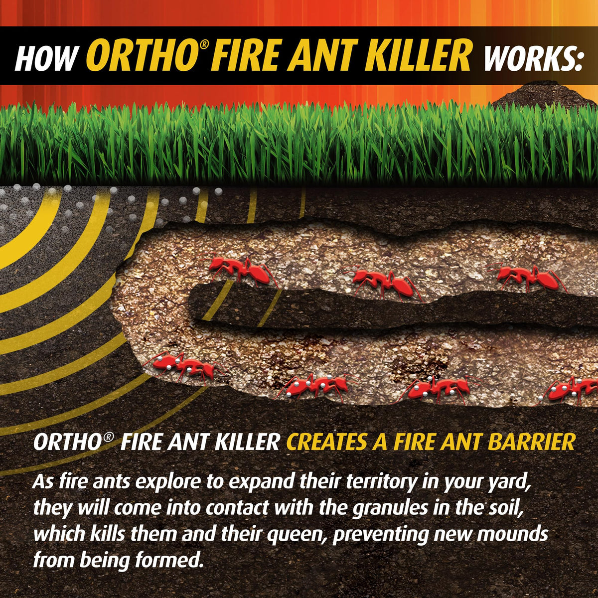 Ortho Orthene Step 1 fire ant killer for mound destruction before broadcast granules