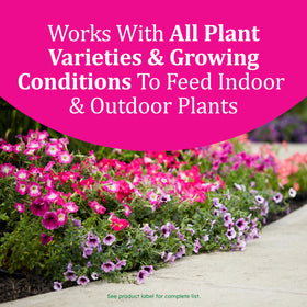 Osmocote 11-nutrient formula supporting a wide range of plants indoors and outdoors.