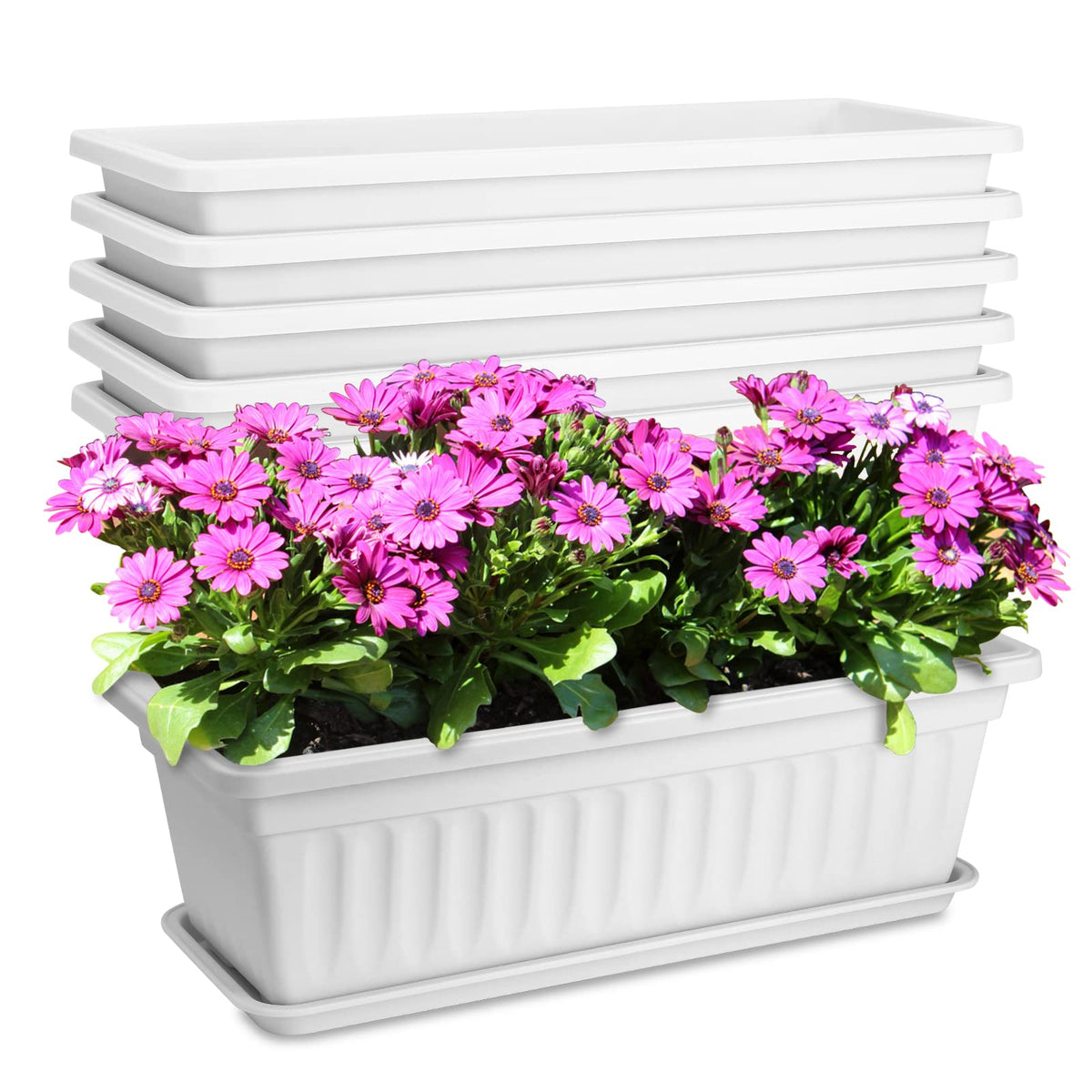 OSMOFUZE window box planter 17in length for windowsills and tight spaces