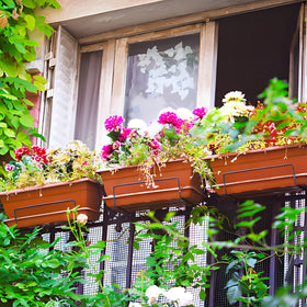 OSMOFUZE brick-red window box with tray makes watering neat and simple.