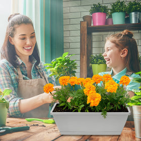 OSMOFUZE six-pack rectangle planters ideal for urban balcony gardening