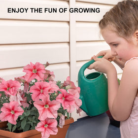 OSMOFUZE vegetable herb flower planter collection for versatile growing
