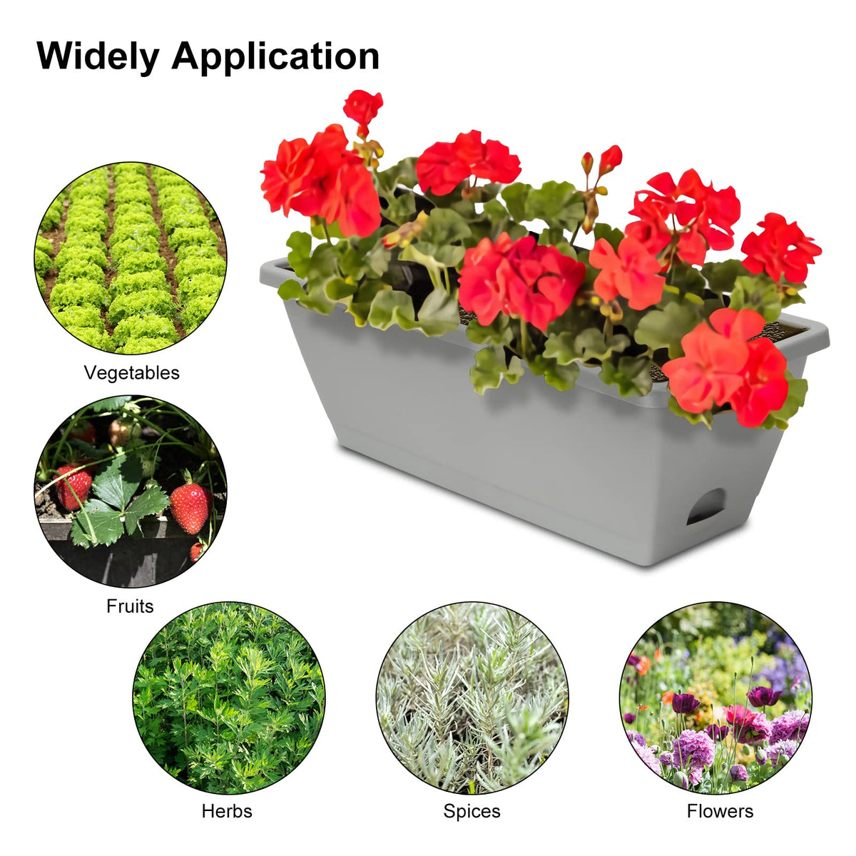 OSMOFUZE windowsill garden setup shown in compact indoor space