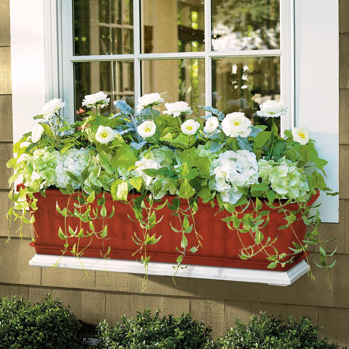 OSMOFUZE windowsill setup with multiple planters for a cohesive display.