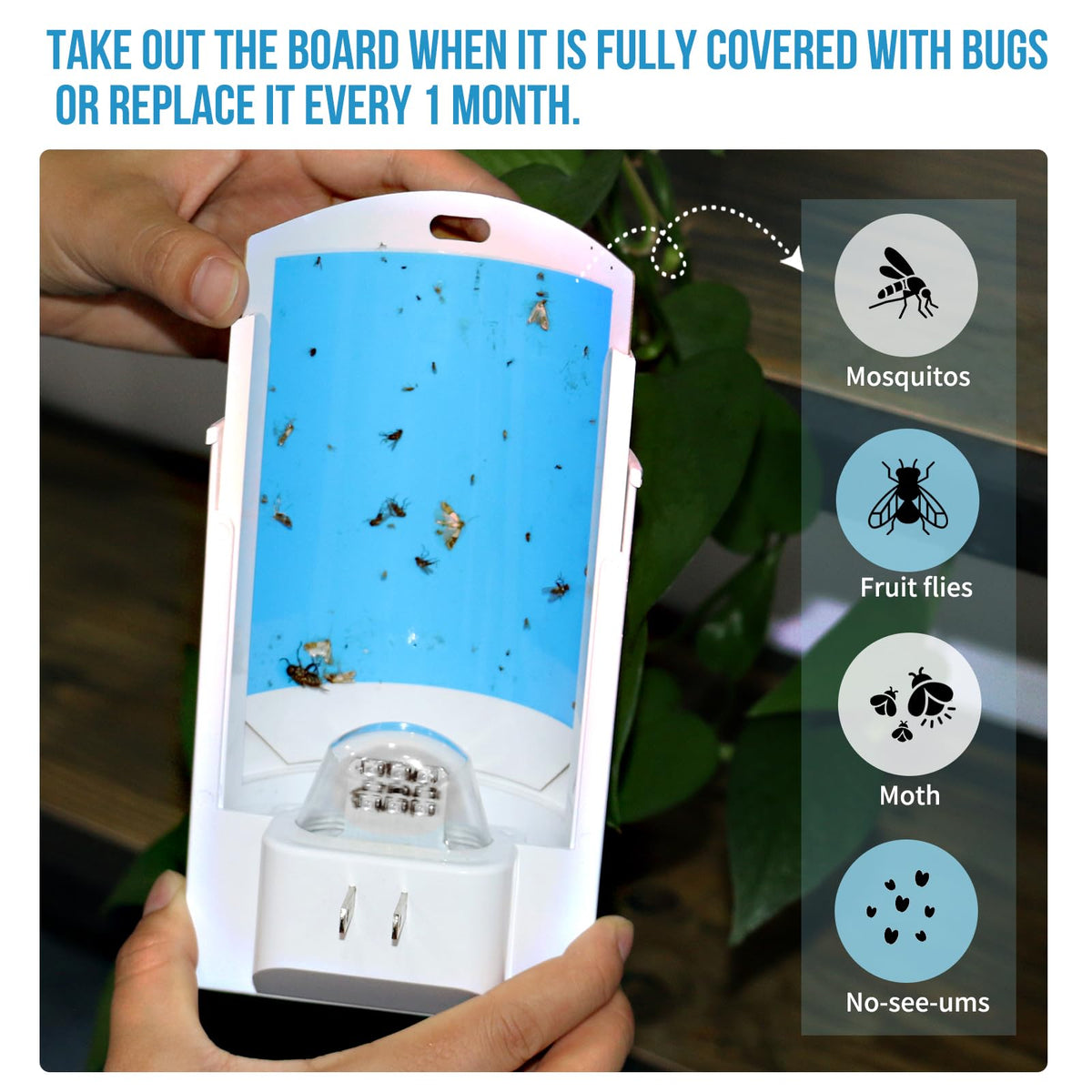 OSVDO glue card refill shows sticky surface for efficient pest trapping.