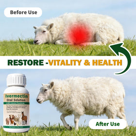 OthoKing ivermectin liquid farm packaging highlights versatile use across different livestock.