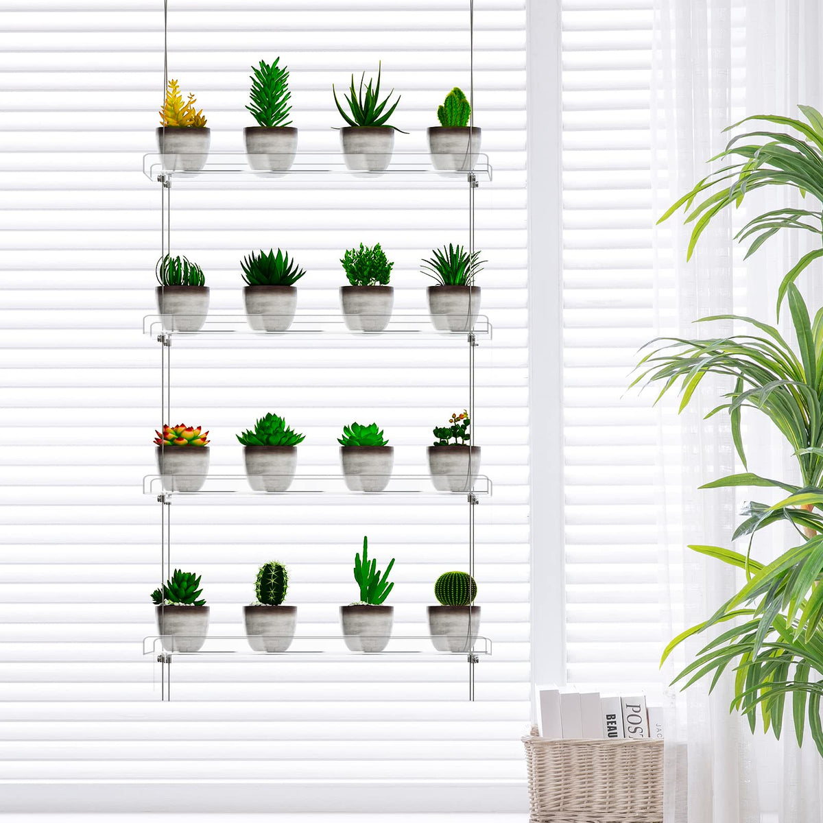 OtNiap acrylic shelves near a window create a mini greenhouse effect.