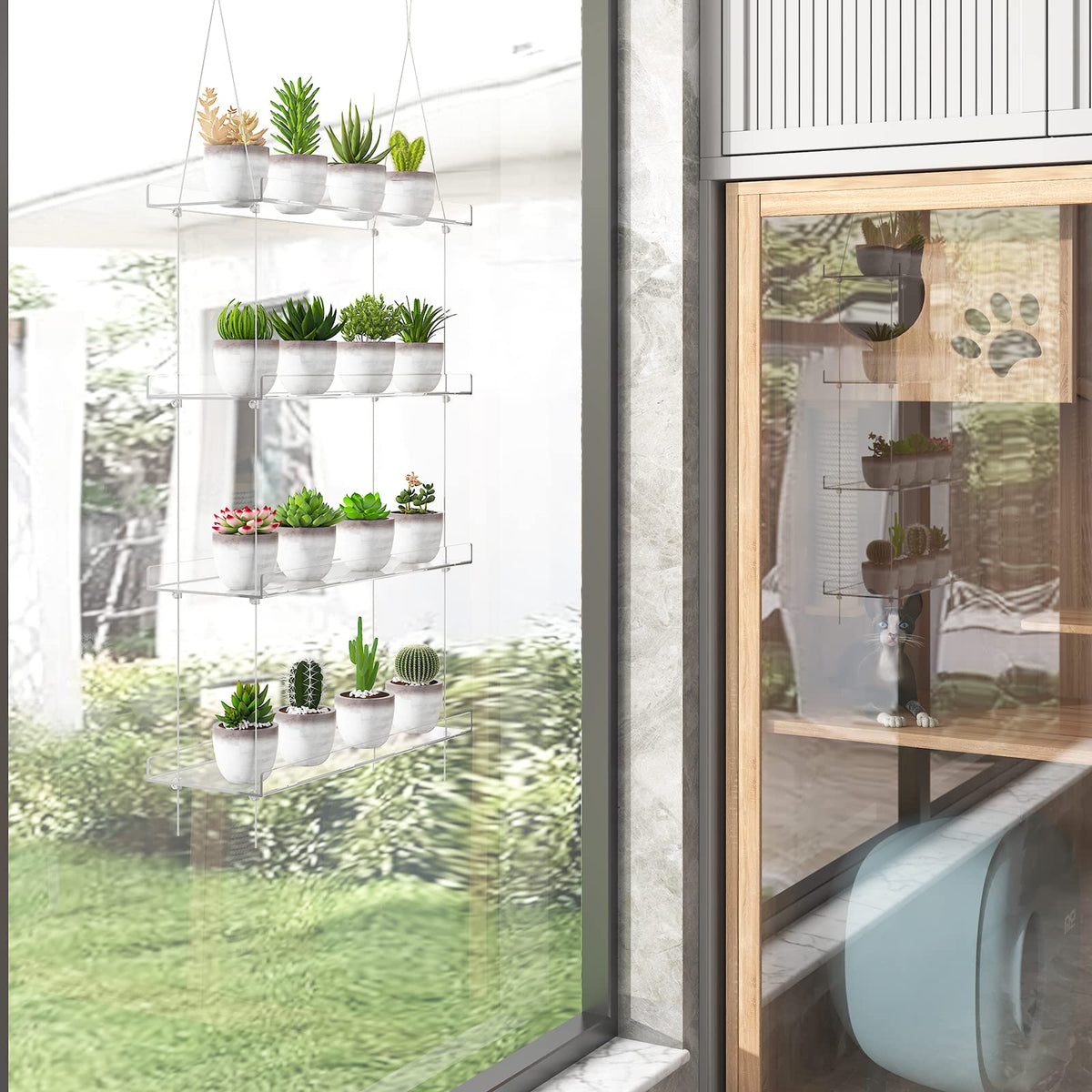 OtNiap succulent display on window shelves adds modern greenery.
