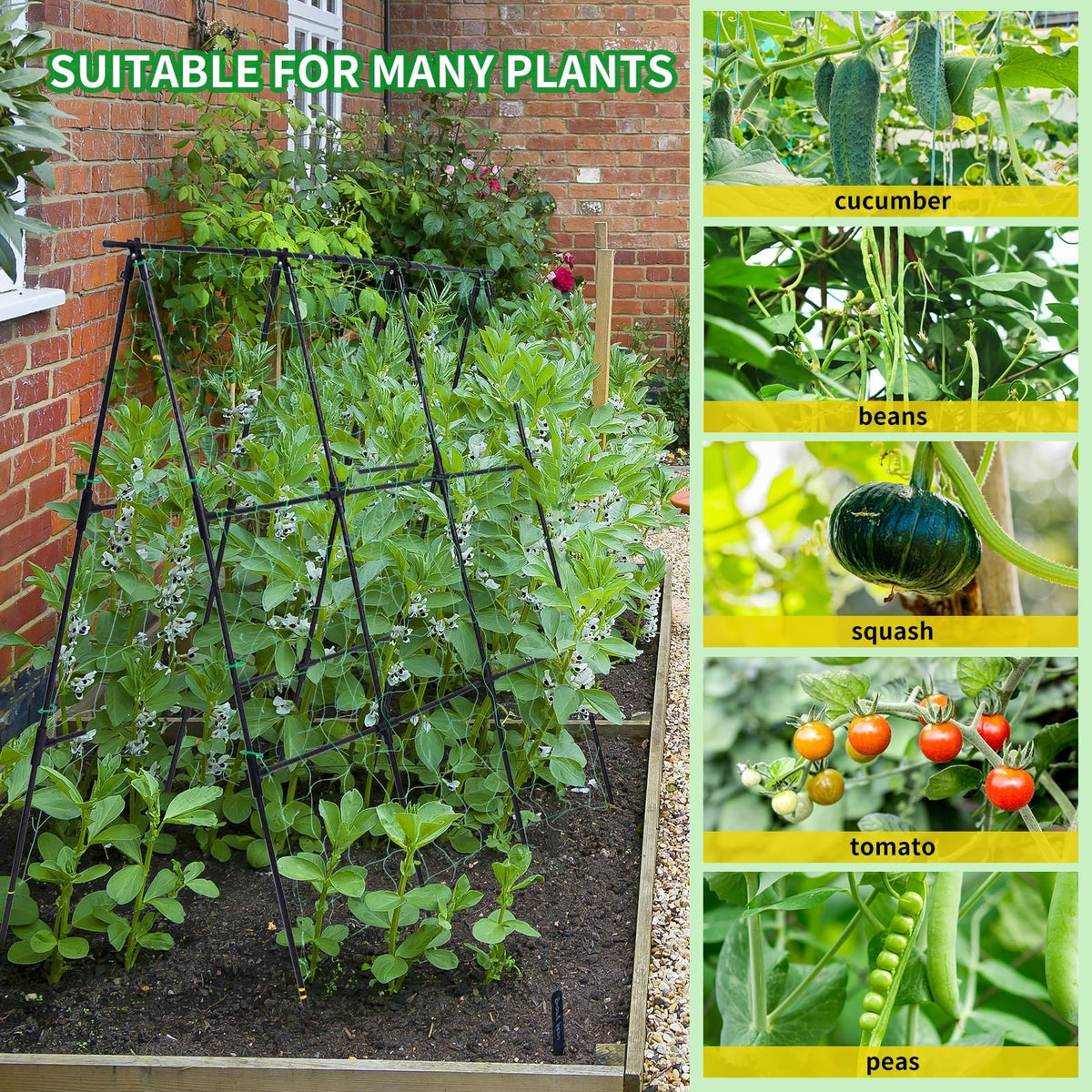 OTOSUNNY 50x48-inch trellis installed stabilizes plants while maximizing sun exposure.