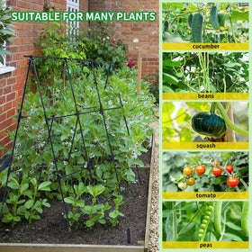 OTOSUNNY 50x48-inch trellis installed stabilizes plants while maximizing sun exposure.