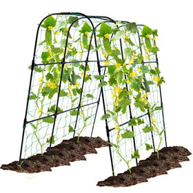OTOSUNNY arch trellis supports climbing plants in a 50x48 inch raised bed.