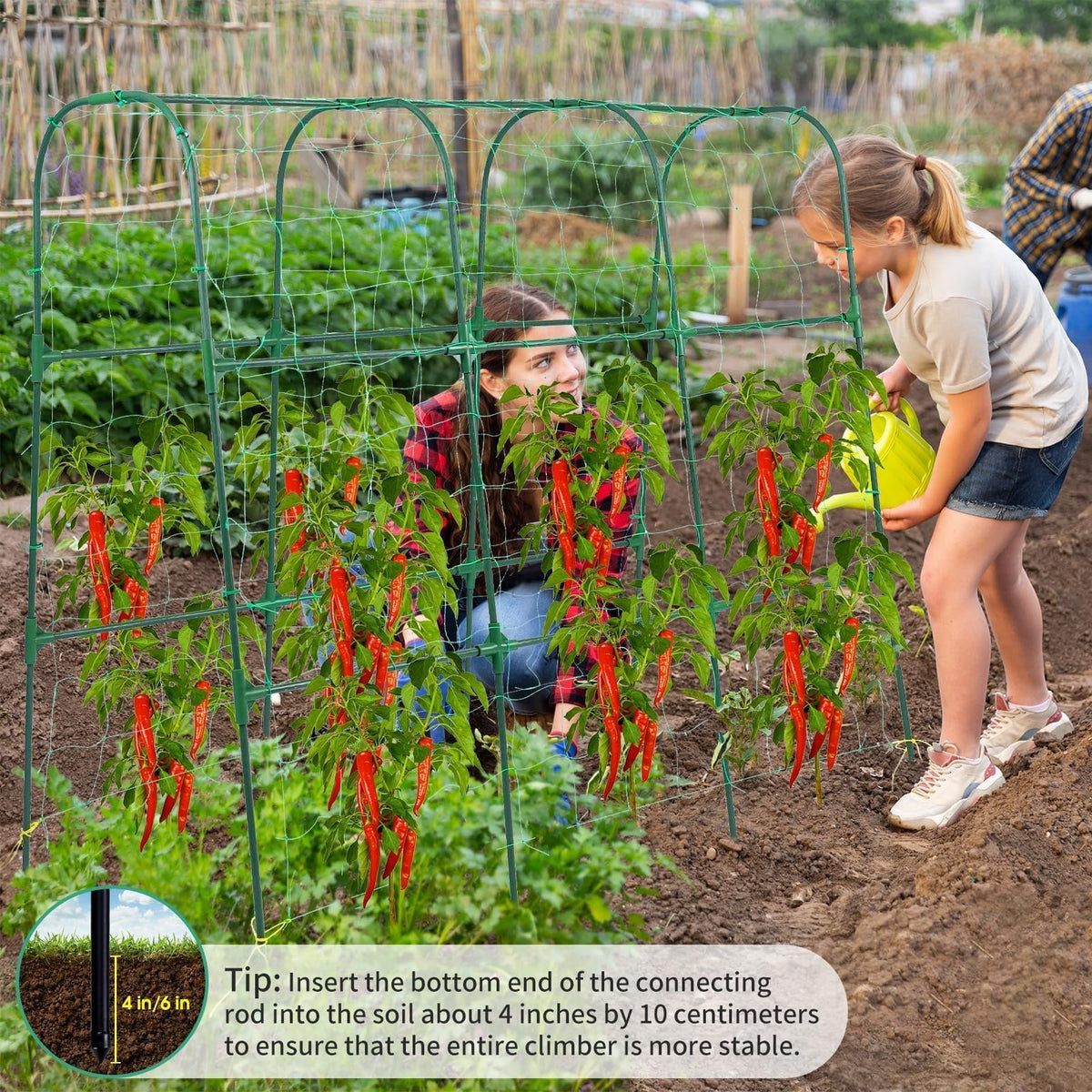 OTOSUNNY cucumber trellis helps tidy, accessible harvests in limited space