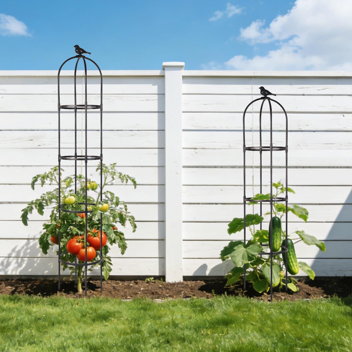 OTOSUNNY garden obelisk trellis for beans aids climbing vegetables