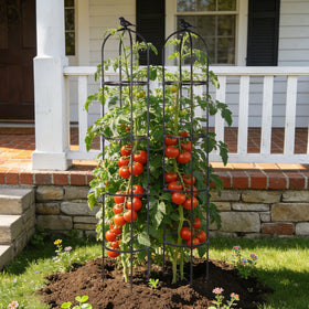 OTOSUNNY garden obelisk trellis guides clematis vines upward for blooms