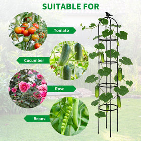 OTOSUNNY obelisk trellis for jasmine enhances fragrance and structure