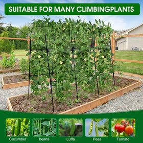 OTOSUNNY garden trellis with netting provides sturdy support for vines.