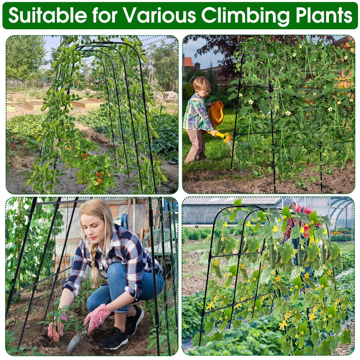 OTOSUNNY metal trellis frame offers durable everyday garden use.