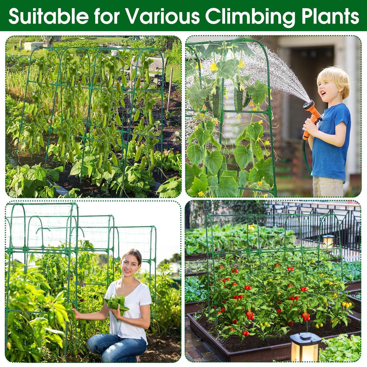 OTOSUNNY metal trellis frame provides sturdy gardening support through the season