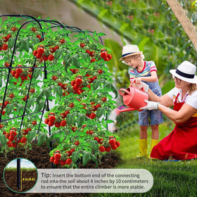 OTOSUNNY tomato pea bean support helps airflow and easier picking.