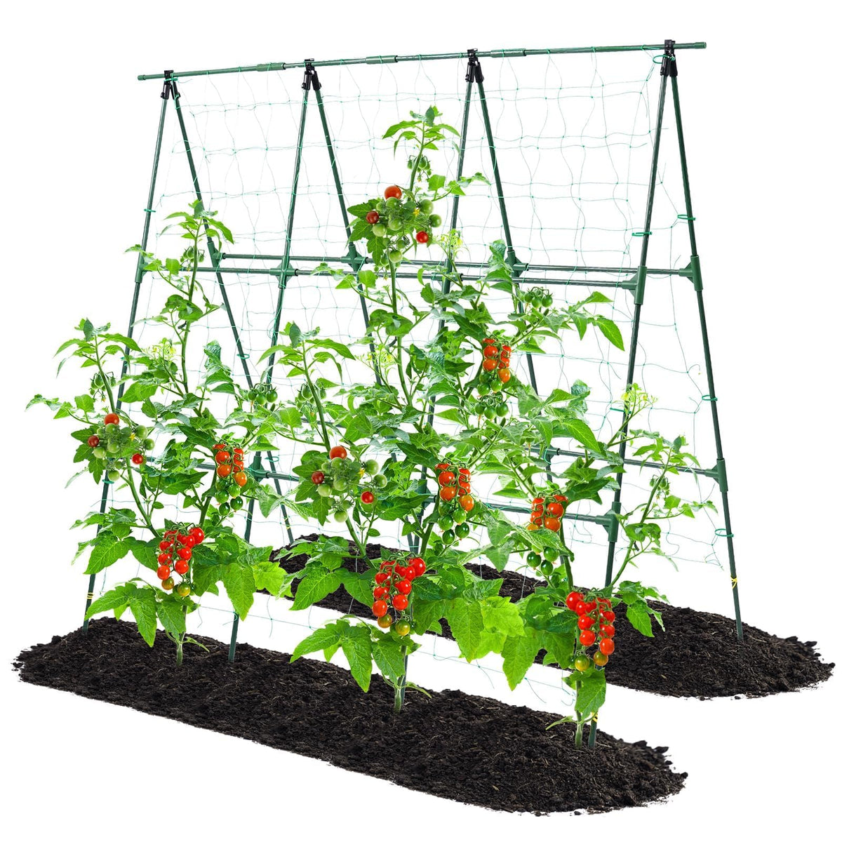 OTOSUNNY versatile design supports cucumber, pea, bean, tomato, and more