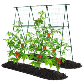 OTOSUNNY versatile design supports cucumber, pea, bean, tomato, and more