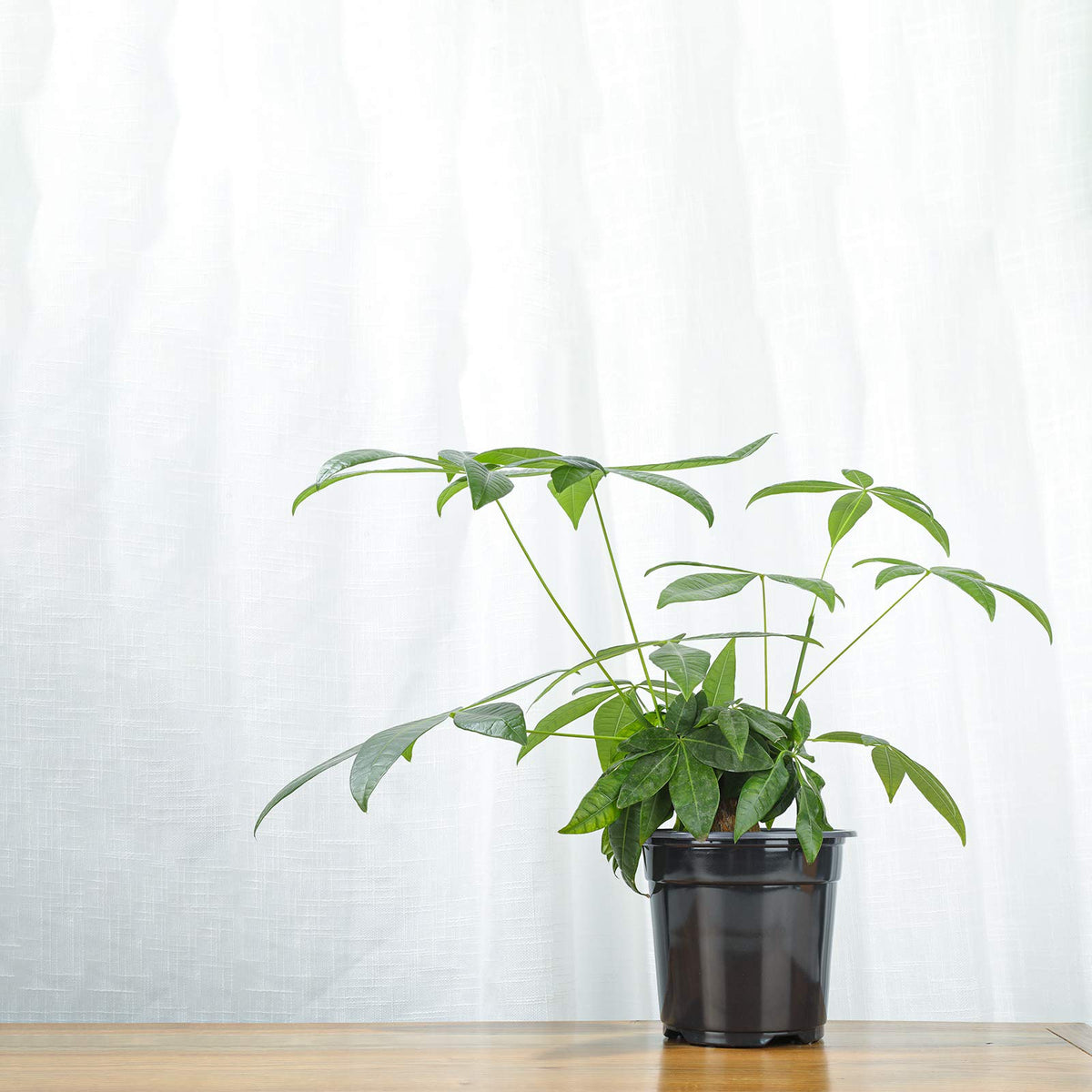 Oubest reusable plastic pot, durable and lightweight for repeated use.