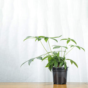 Oubest reusable plastic pot, durable and lightweight for repeated use.