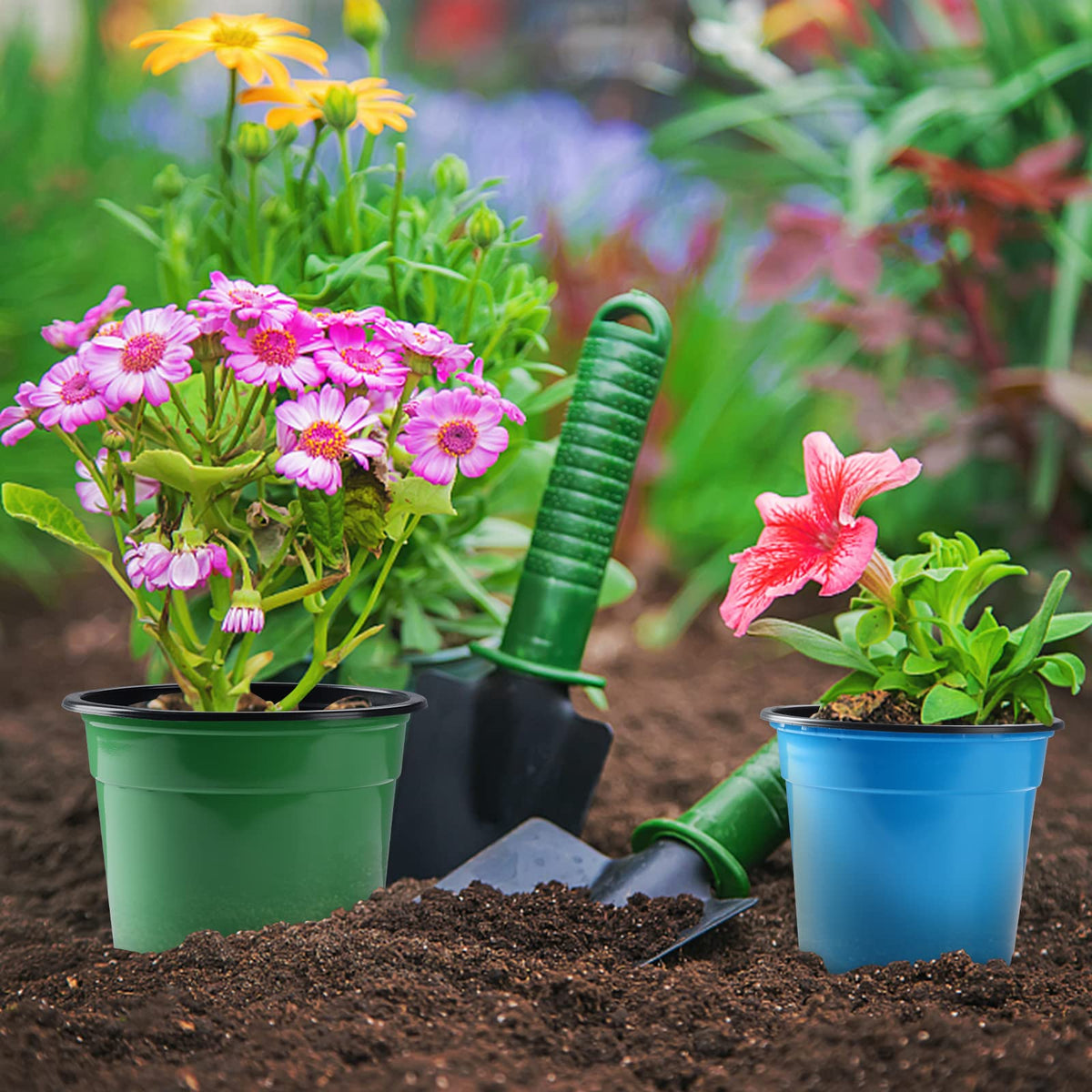Oubest easy transplanting design helps lift seedlings without root damage.