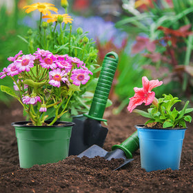 Oubest easy transplanting design helps lift seedlings without root damage.
