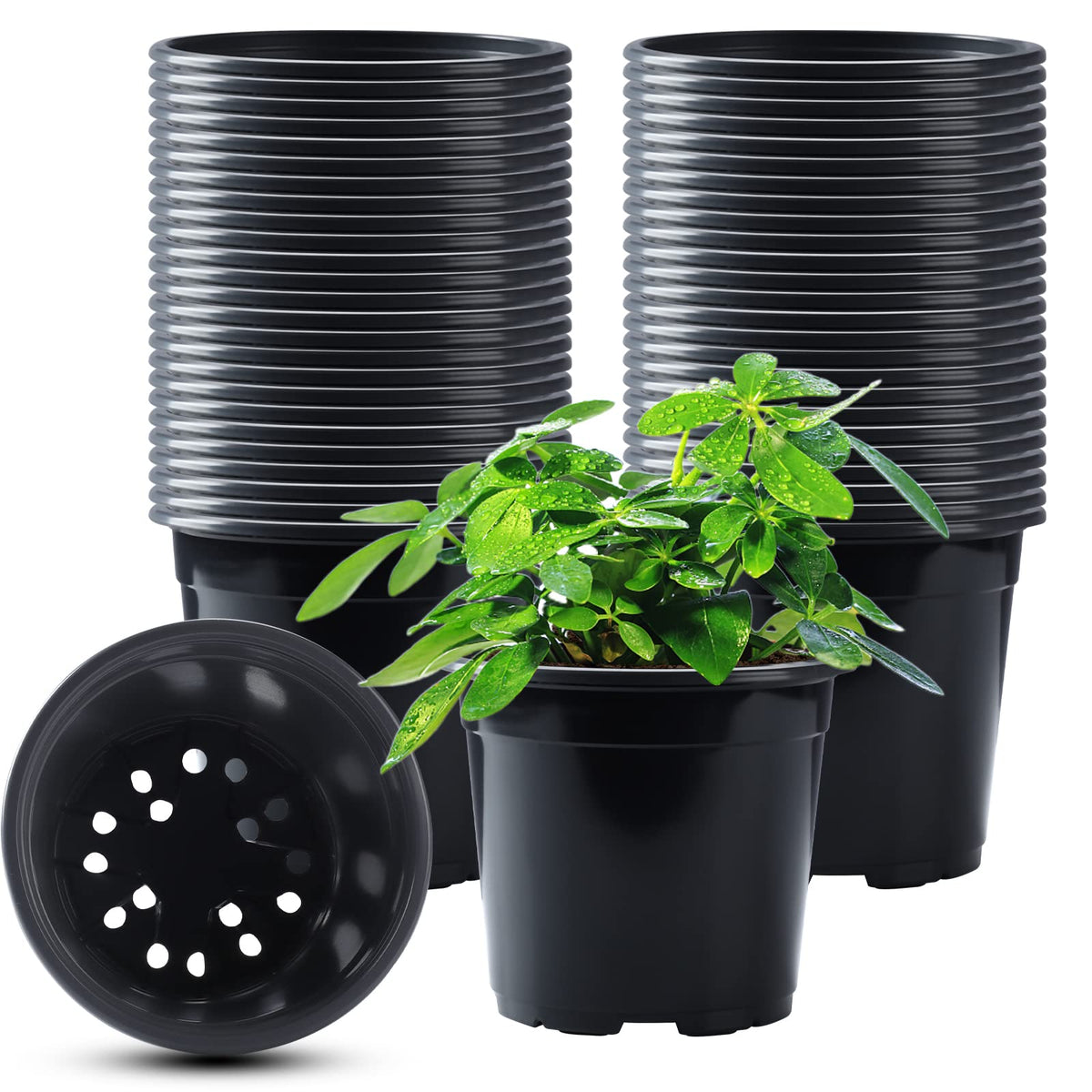 Oubest nursery pots collection 50pcs for seedling setup indoors.