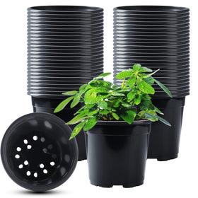 Oubest nursery pots collection 50pcs for seedling setup indoors.