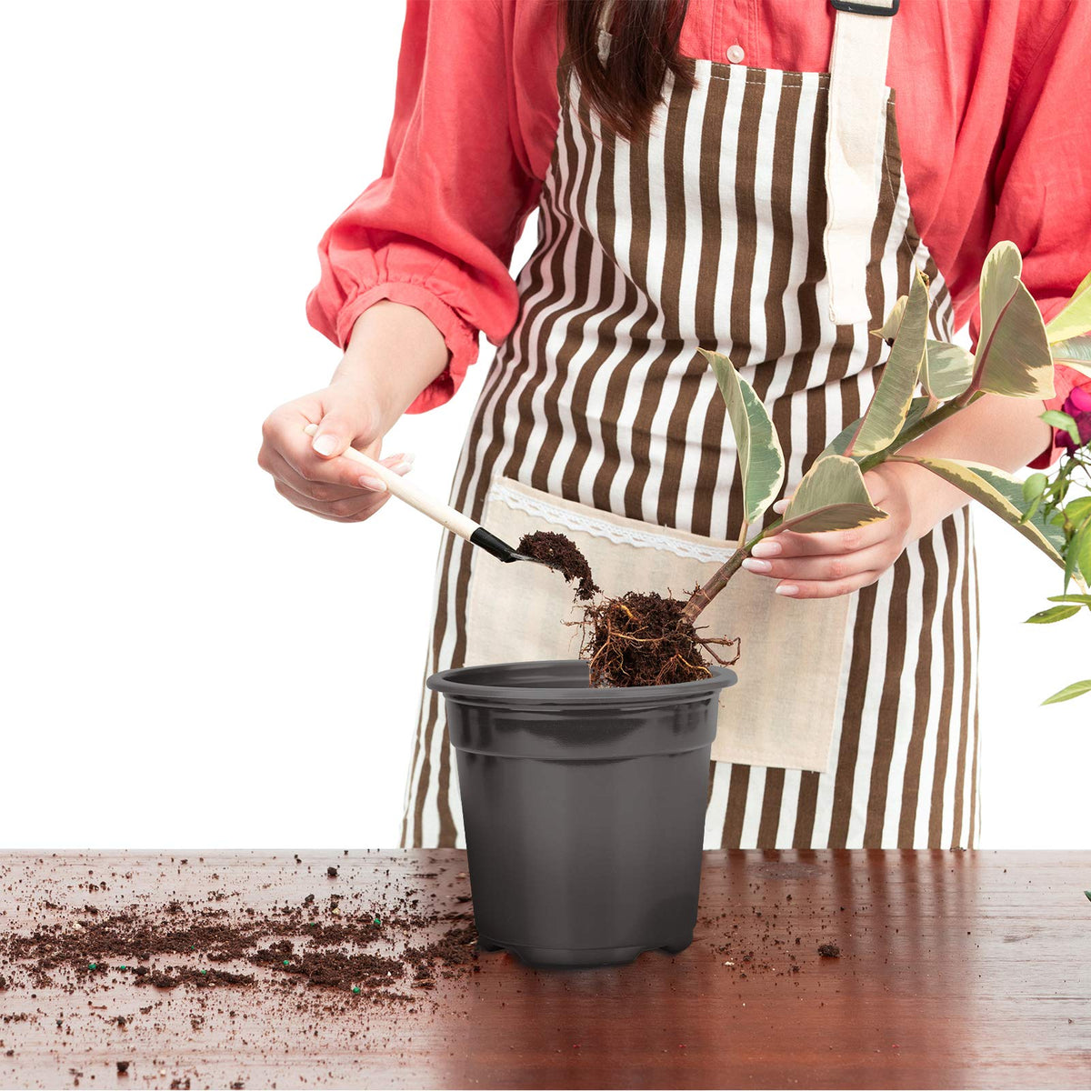 Oubest succulent propagation pot with drainage for healthy growth.