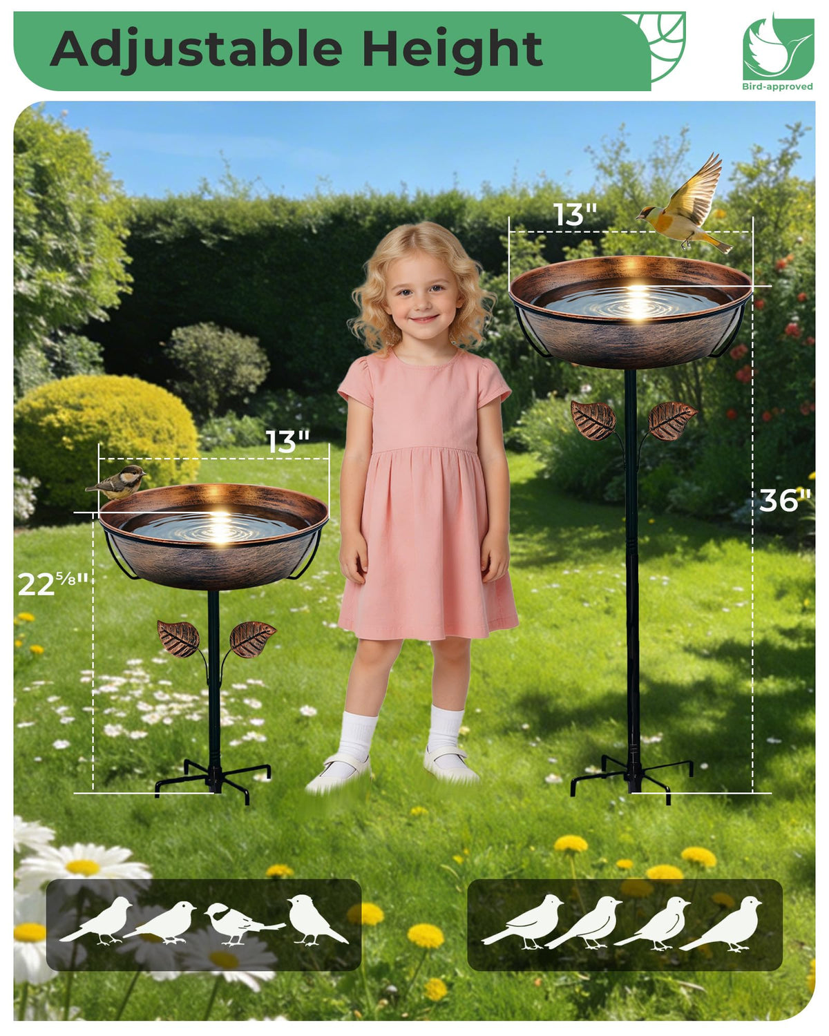 Multi-functional setup for feeding, bathing, or solar fountain option