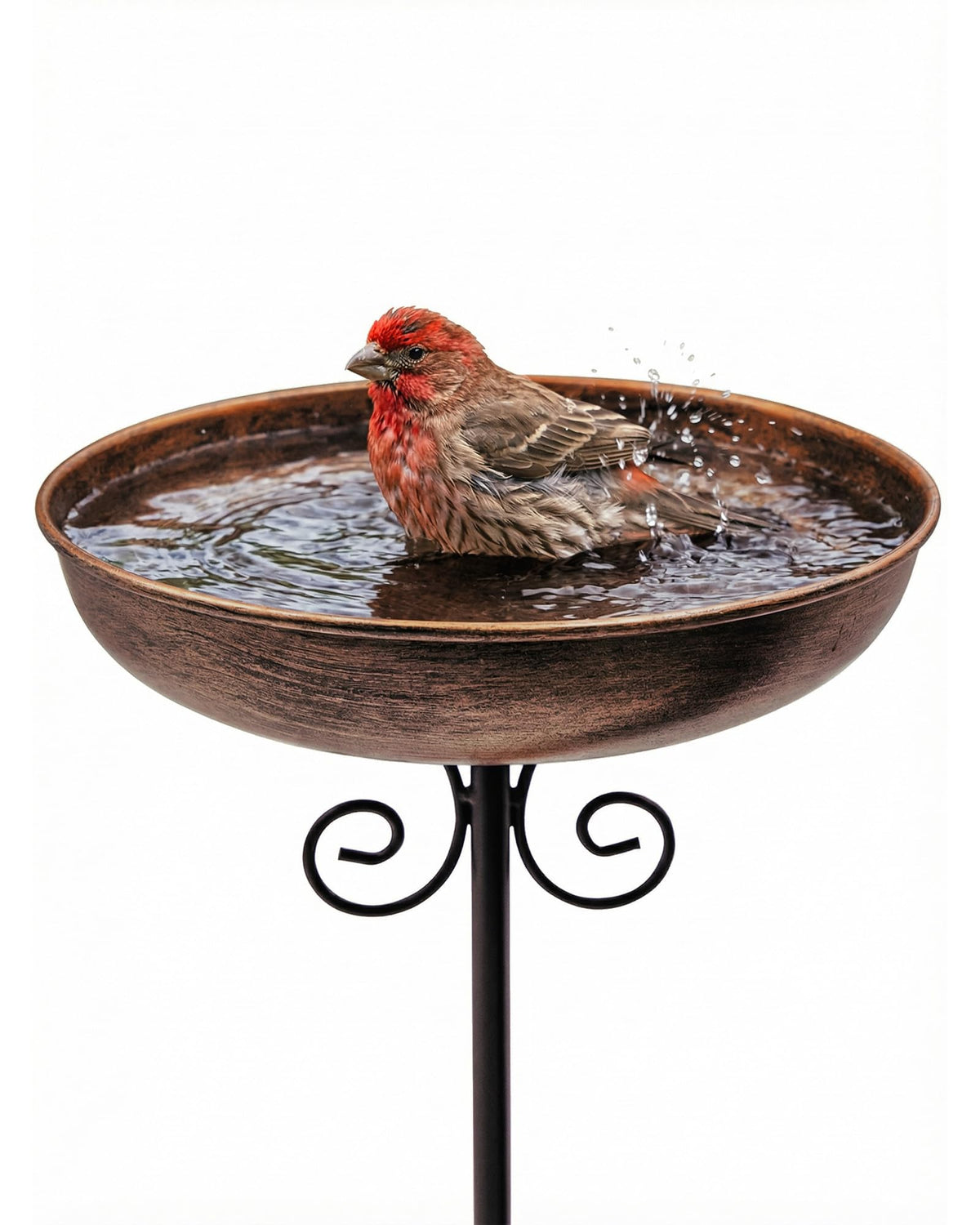 OUISJYER small bird bath 10-inch bowl inviting garden birds