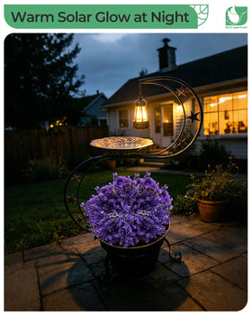OUISJYER Solar Bird Bath night light creates ambiance.