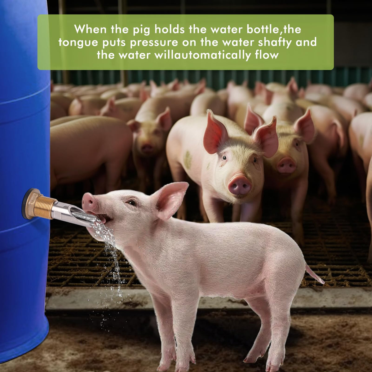 OUJIMAI stainless steel pig drinker displaying durable construction for daily use