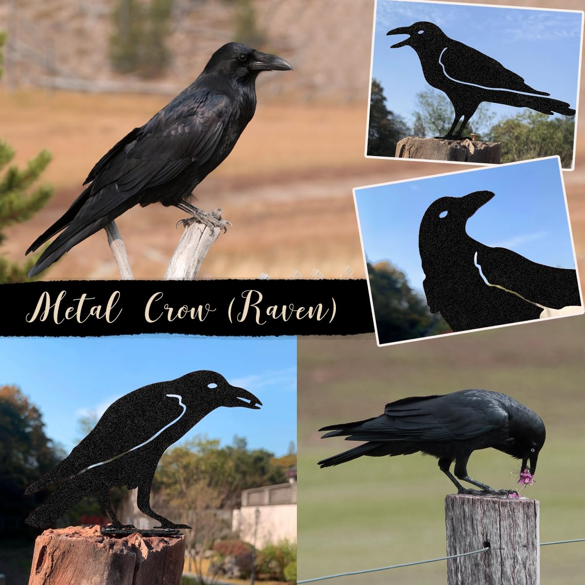 OULYDEKO raven Halloween decor brings gothic mood to outdoor spaces.