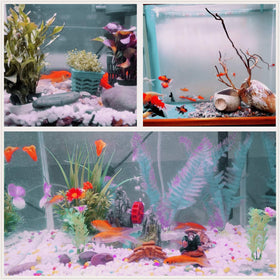 OUPENG white pebbles in an aquarium create a clean, natural backdrop.
