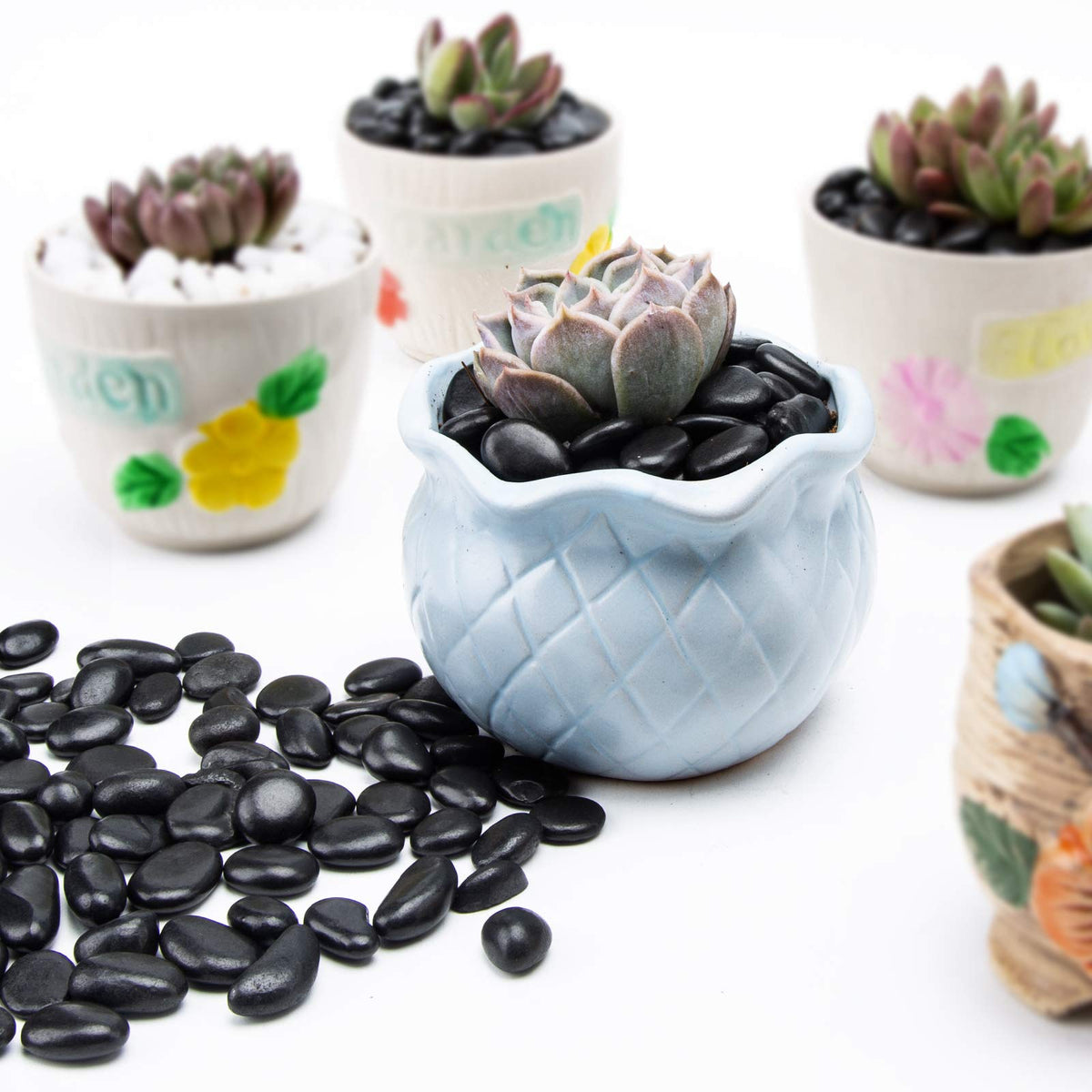 OUPENG black plant stones decorative pebbles for vases and bowls.