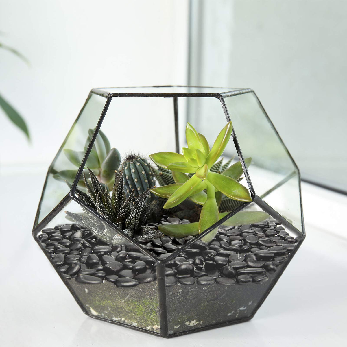 OUPENG black succulent gravel ideal for terrariums and plant arrangements.
