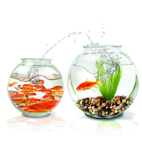 OUPENG decorative stones for vases and centerpieces add natural flair and filler use